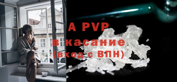 PSILOCYBIN Гусев