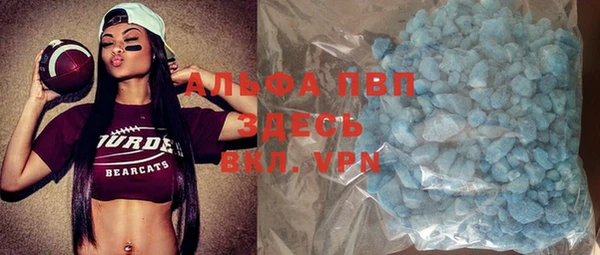 PSILOCYBIN Гусев
